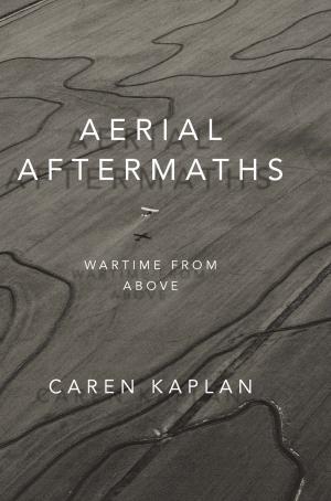 Book cover of Aerial Aftermaths