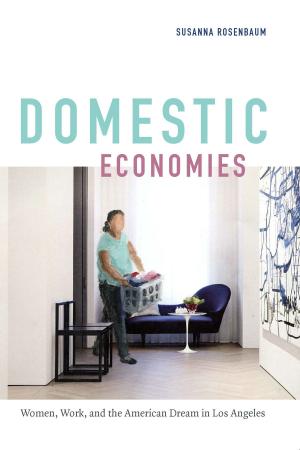 Cover of the book Domestic Economies by Suzanne Gearhart, David Palumbo-Liu