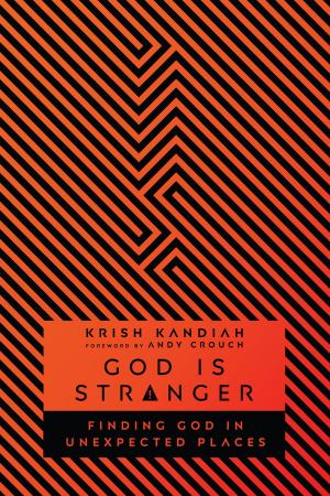 Cover of the book God Is Stranger by Steve Hayner, Sharol Hayner