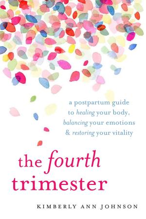 Cover of the book The Fourth Trimester by Ann Saffi Biasetti