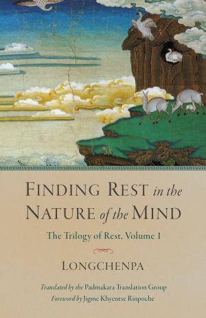 Cover of the book Finding Rest in the Nature of the Mind by Thinley Norbu