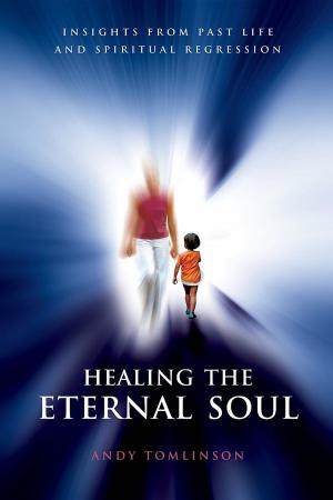 Book cover of Healing the Eternal Soul - Insights from Past Life and Spiritual Regression