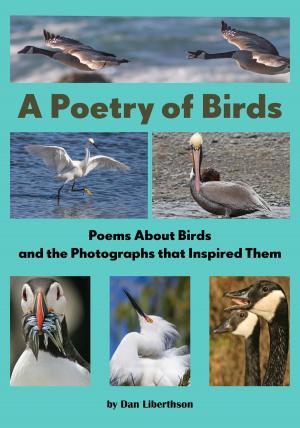 Cover of the book A Poetry of Birds by Akram Najjar