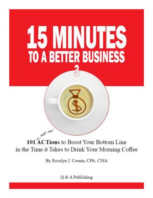 Cover of the book 15 Minutes to a Better Business 3 by Diana Bocco