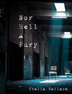 Cover of the book Nor Hell A Fury by nikki broadwell