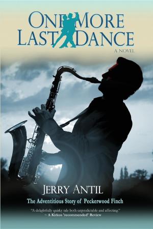Cover of the book One More Last Dance by D.E. Chapman