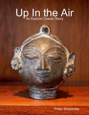 Cover of the book Up In the Air: An Eamon Cowan Story by E.B. Akintunde