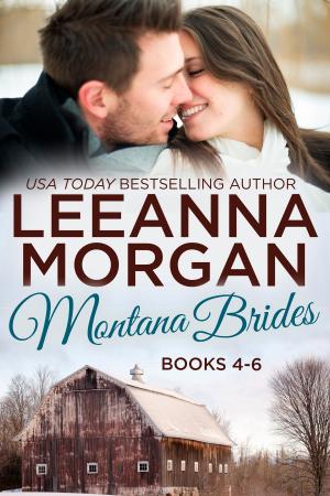 Cover of the book Montana Brides Boxed Set (Books 4-6) by S.H. Kolee
