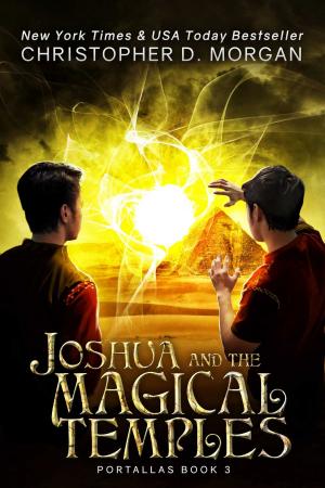 Book cover of Joshua and the Magical Temples