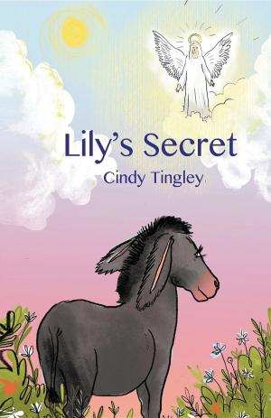 Cover of the book Lily's Secret by Carol Rainbow