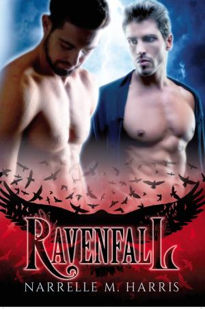 Cover of the book Ravenfall by David Greagg