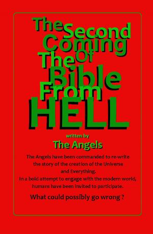 Cover of the book The Second Coming Of The Bible From Hell by Charles St. Anthony