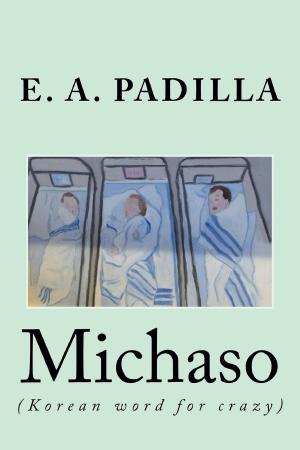 bigCover of the book Michaso by 