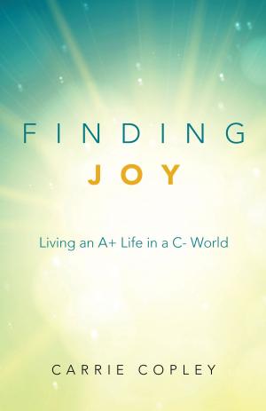 Cover of the book Finding Joy by Glenn L Erickson