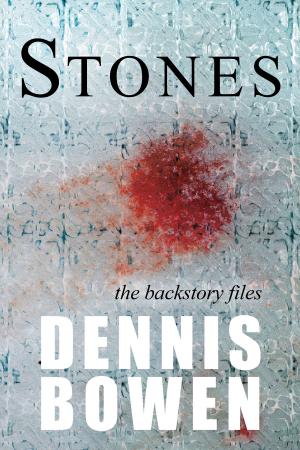 Cover of STONES