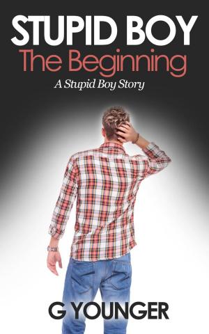 Cover of the book Stupid Boy: The Beginning by Darcy Maguire