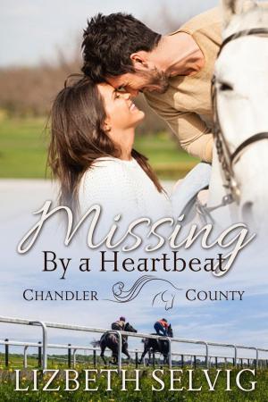 Cover of the book Missing By a Heartbeat by Sarah K. Jensen