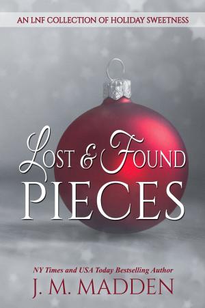 Cover of the book Lost and Found Pieces by L.R. Xavier