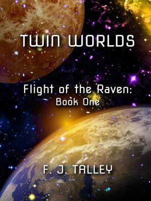 Cover of the book Twin Worlds by Michael Brachman
