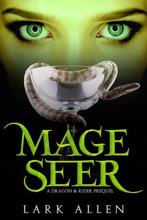 bigCover of the book Mage Seer by 