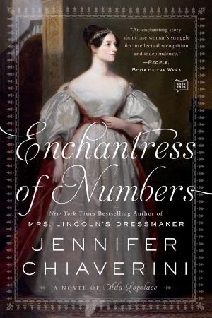 Cover of the book Enchantress of Numbers by E.J. Copperman
