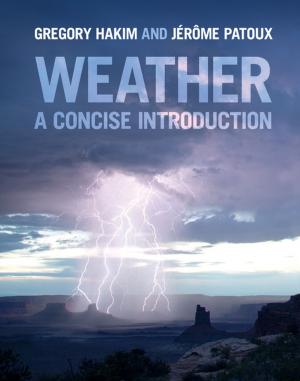 Cover of the book Weather by Peter J. Cameron