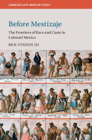 Cover of the book Before Mestizaje by 