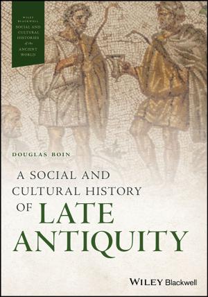 Cover of the book A Social and Cultural History of Late Antiquity by Hooshang Ghafouri-Shiraz, M. Massoud Karbassian