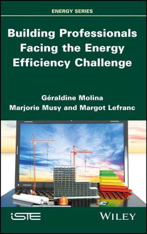 Cover of the book Building Professionals Facing the Energy Efficiency Challenge by Joanne Broder Sumerson