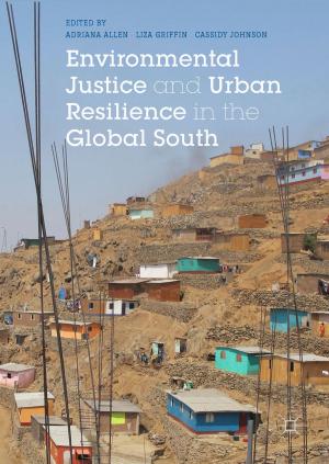 Cover of the book Environmental Justice and Urban Resilience in the Global South by D. Brockman