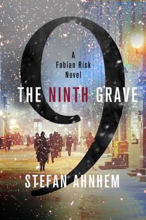 Book cover of The Ninth Grave