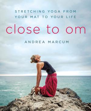 Cover of the book Close to Om by Kieran Kramer