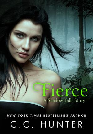 Cover of the book Fierce by Joe Mande