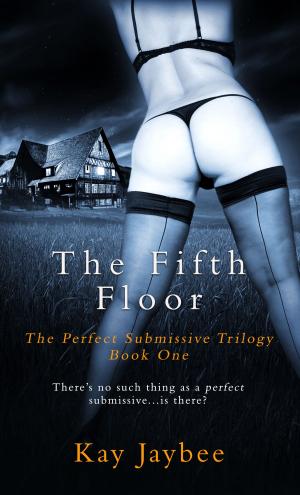 Cover of the book The Fifth Floor by Dark Rider