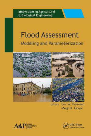 Cover of the book Flood Assessment by Volodymyr Krasnoholovets