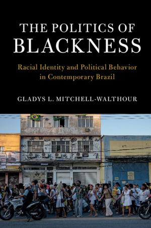 Cover of the book The Politics of Blackness by María Cecilia Pérez Aponte