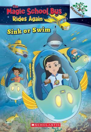 Cover of the book Sink or Swim: Exploring Schools of Fish (The Magic School Bus Rides Again) by Ann M. Martin