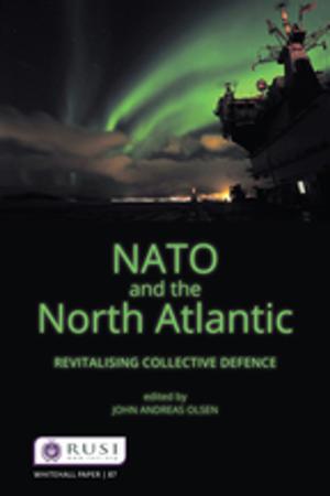 Cover of the book NATO and the North Atlantic by Joyce E. King, Ellen E. Swartz