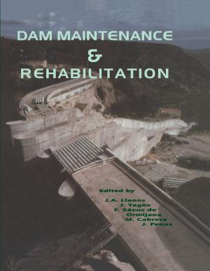 Cover of the book Dam Maintenance and Rehabilitation by Janusz Turowski, Marek Turowski