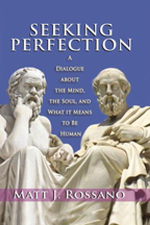 Cover of the book Seeking Perfection by Rudi Turksema