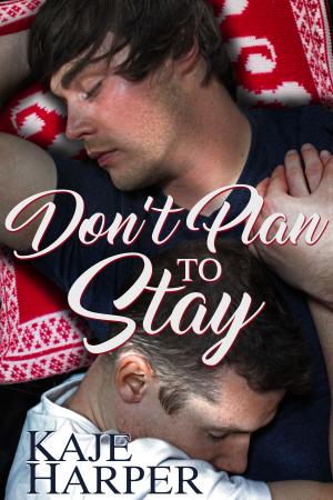 Cover of the book Don't Plan to Stay by Armistead Maupin