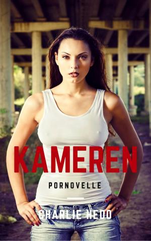 Cover of the book Kameren by Charlie Hedo