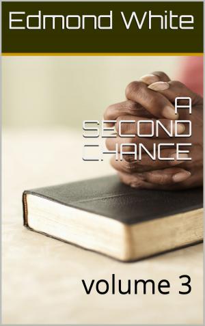 Book cover of A Second Chance Volume 3