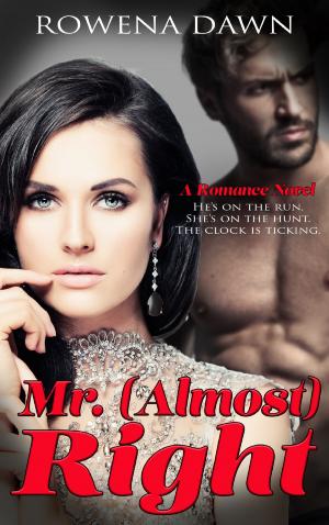 Book cover of Mr. (Almost) Right
