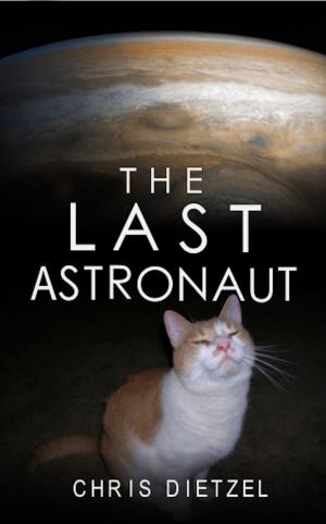 Book cover of The Last Astronaut