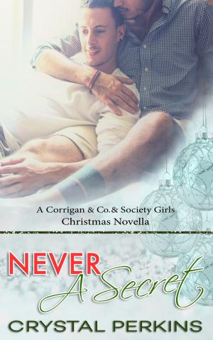 Cover of the book Never a Secret by Crystal Perkins