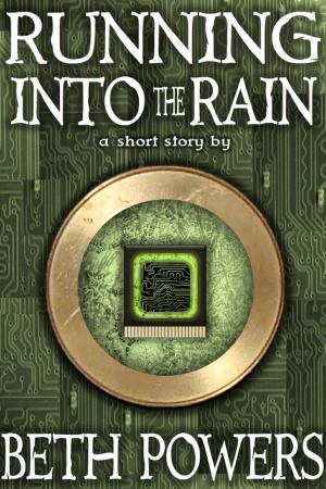 Book cover of Running Into the Rain: A Short Story