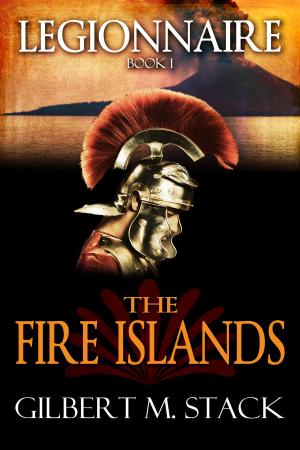 Cover of the book The Fire Islands by T.B. Schmid, R.Wade Hodges