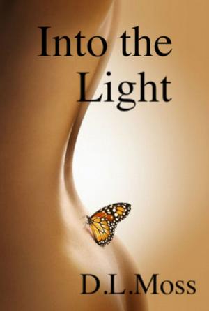 Cover of the book Into the Light by Birrell Walsh