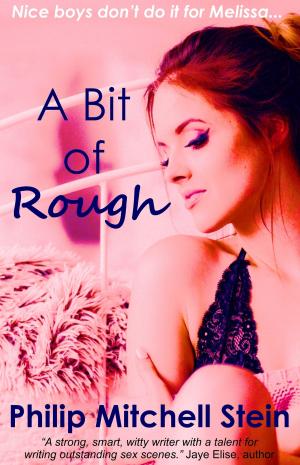 Cover of the book A Bit of Rough by Ann Gem